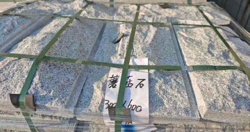 威海芝麻白蘑菇石，自然面